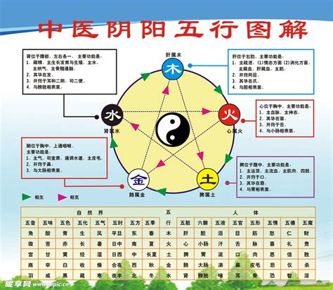 中醫五行歸類表|中医五行学说的概念及归类